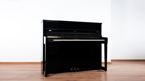Produktbild Schimmel - C-120 TwinTone