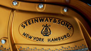 Produktbild Steinway & Sons - B-211 - Nr.8