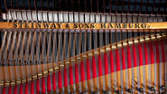 Produktbild Steinway & Sons - B-211 - Nr.4