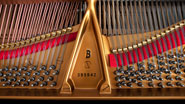Produktbild Steinway & Sons - B-211 - Nr.5