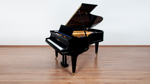 Produktbild Blüthner - 185