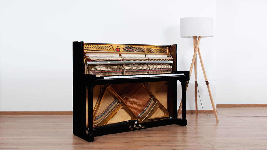 Produktbild Schimmel - 118t - Nr.3