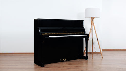Produktbild Schimmel - 118t