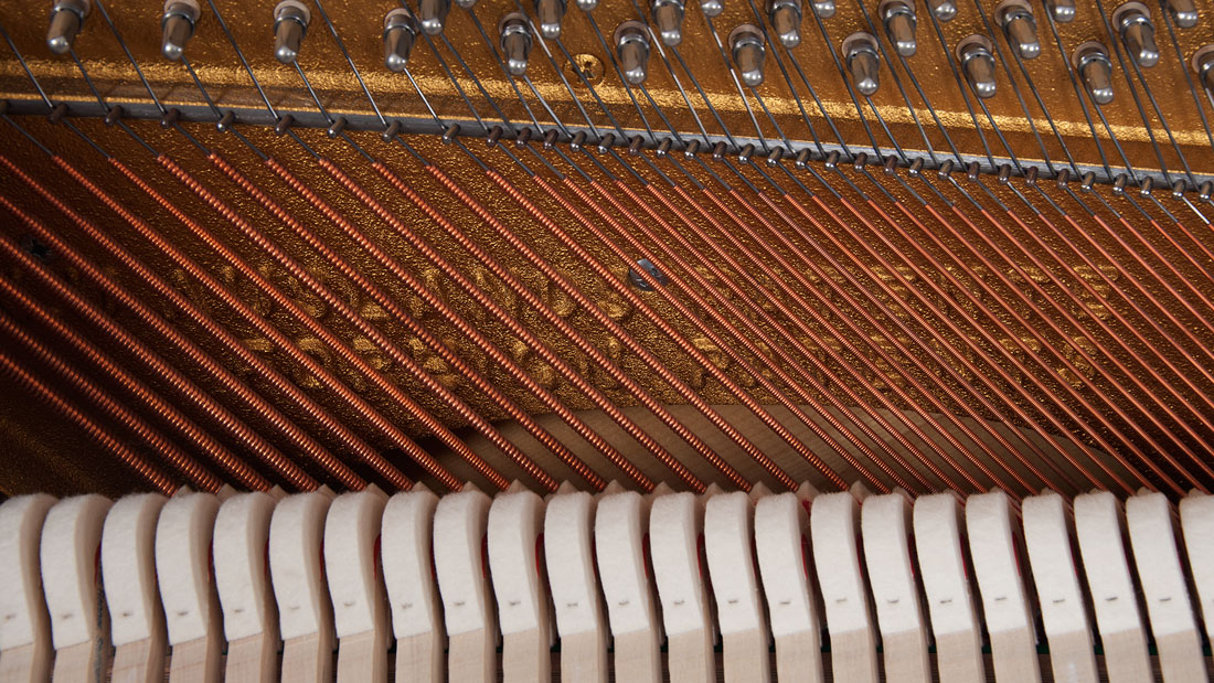 Produktbild Schimmel - 116 - Nr.8