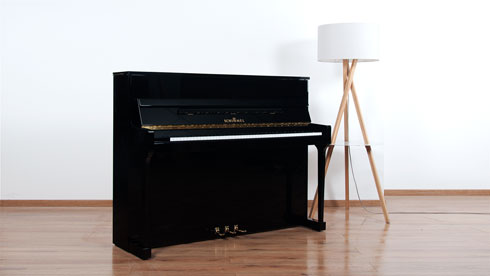 Produktbild Schimmel - 116