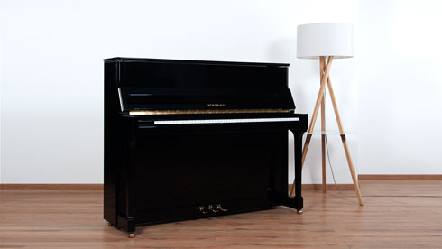 Produktbild Schimmel - 118t