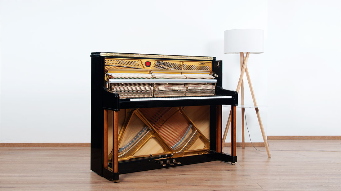 Produktbild Schimmel - 120TR - Nr.2