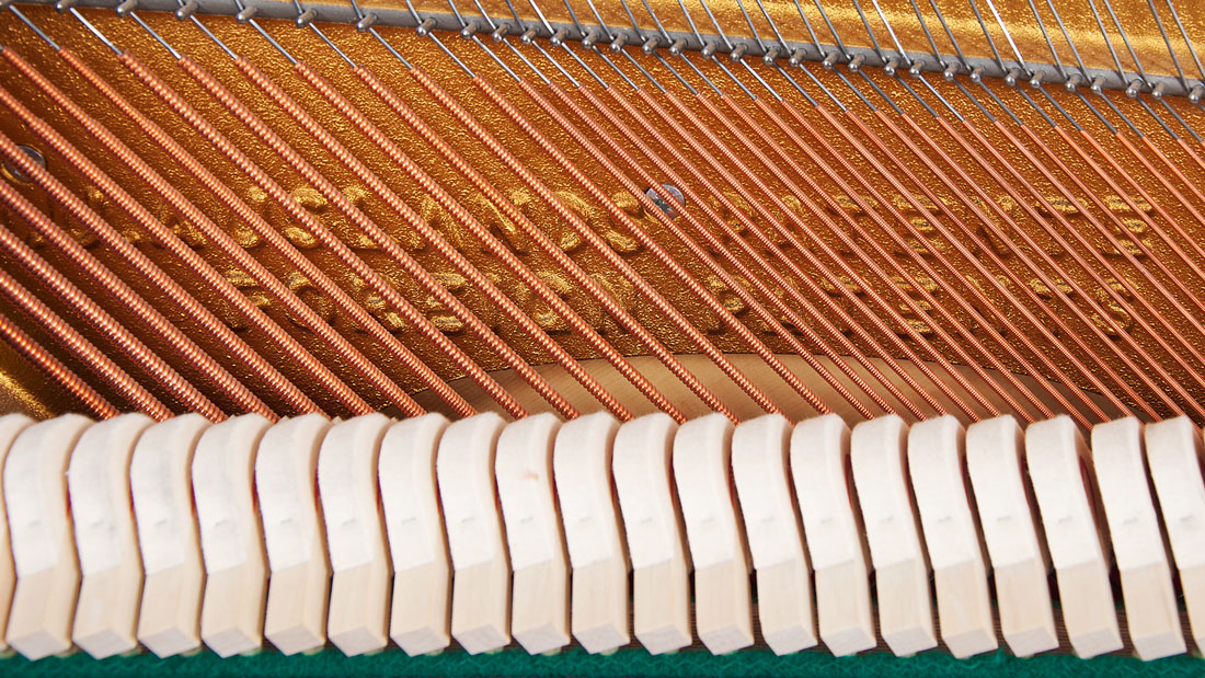 Produktbild Schimmel - 120TR - Nr.6