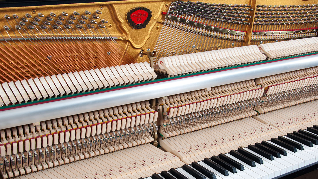 Produktbild Schimmel - 120TR - Nr.7