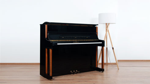 Produktbild Schimmel - 120TR