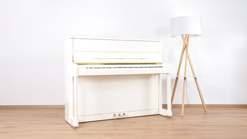 Produktbild Schimmel - 120