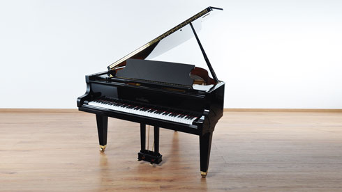 Produktbild Schimmel - 174T