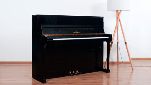 Produktbild Schimmel - 116