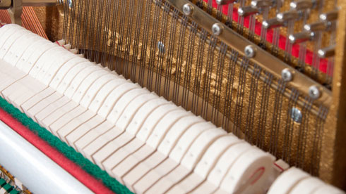 Produktbild Schimmel - Pleyel 120t