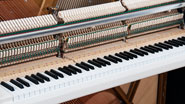 Produktbild Grotrian-Steinweg - Friedrich 110 Studio - Nr.11