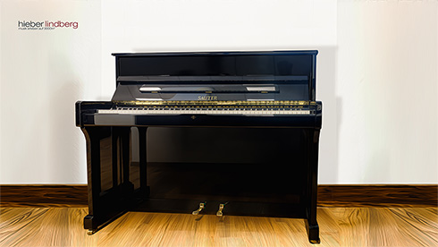 Produktbild Sauter - Sauter 113